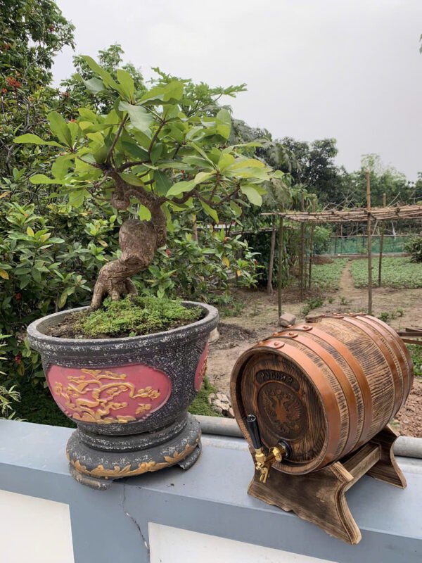 z5800218256409_a403a1c3503ab21ed8911ca28778c03b z5800218256409_a403a1c3503ab21ed8911ca28778c03b